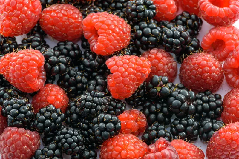 Yummy Blackberries